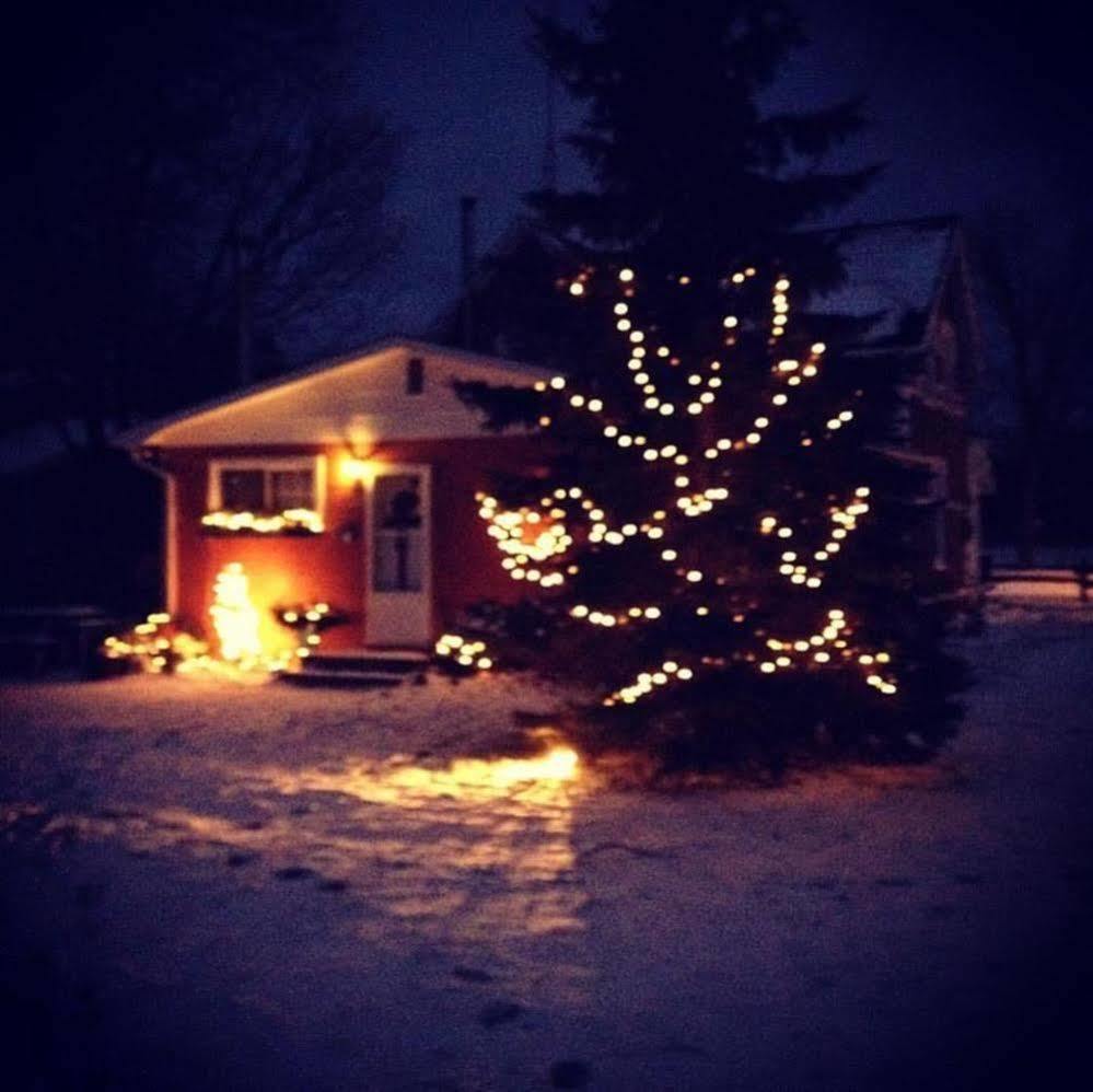 Emily'S Place B&B Creemore 외부 사진